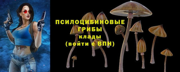 индика Богданович