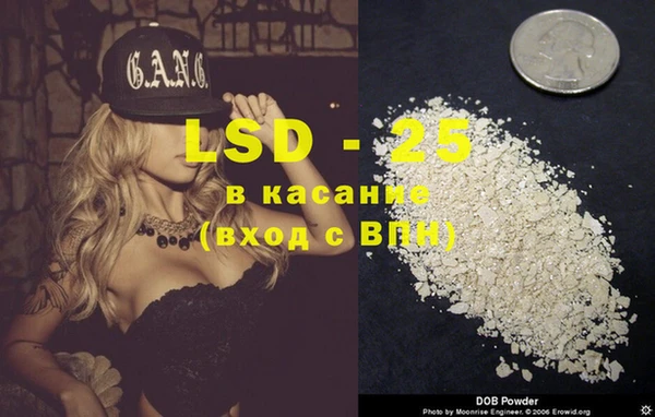 индика Богданович