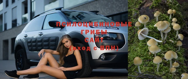 a pvp Богородицк