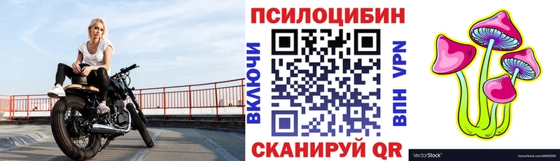 Псилоцибиновые грибы ЛСД  как найти   ссылка на мегу маркетплейс  Ядрин 